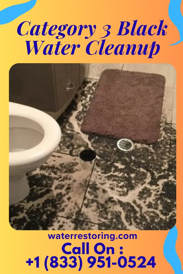 Category 3 Black Water Cleanup in Bogus Hill, CT