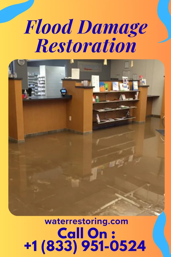 Flood Damage Restoration in Bogus Hill, CT