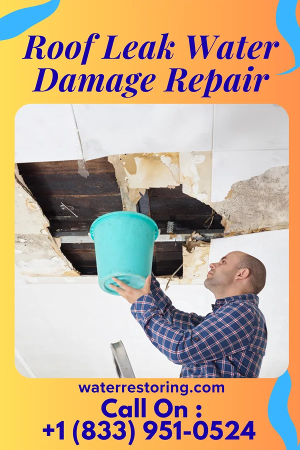 Roof Leak Water Damage Repair in Bogus Hill, CT