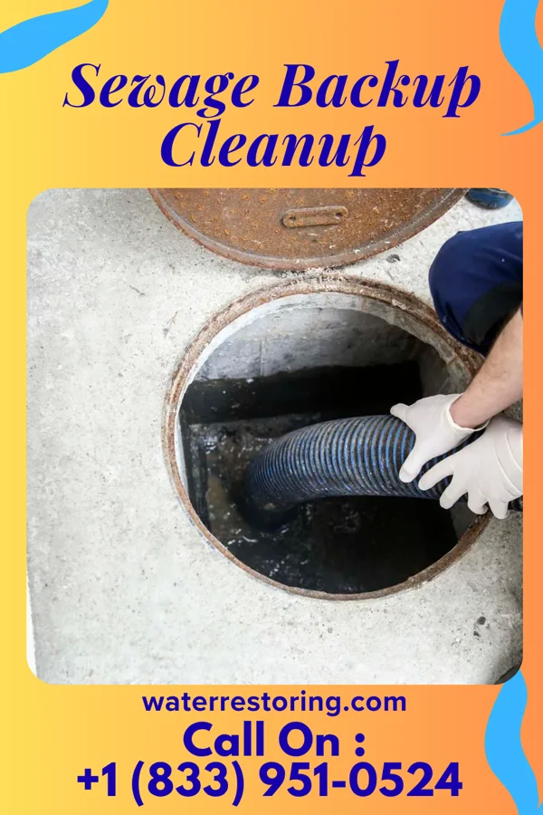 Sewage Backup Cleanup in Bogus Hill, CT