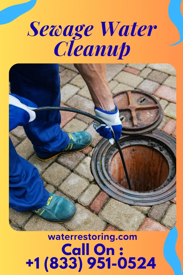 Sewage Water Cleanup in Bogus Hill, CT